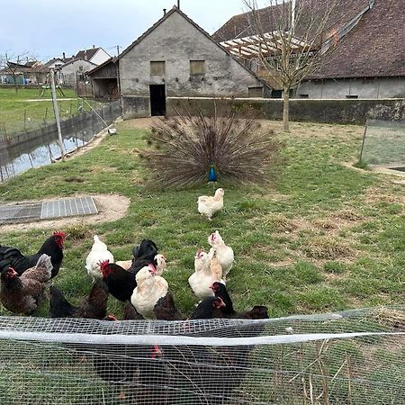 Вилла Maison Au Sein D'Une Ferme Rahling Экстерьер фото