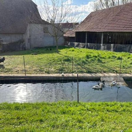 Вилла Maison Au Sein D'Une Ferme Rahling Экстерьер фото
