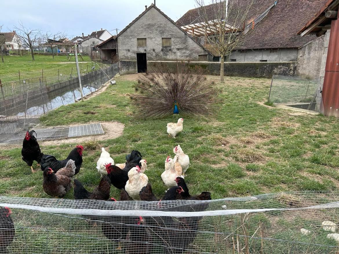 Вилла Maison Au Sein D'Une Ferme Rahling Экстерьер фото