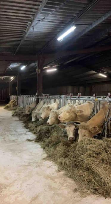 Вилла Maison Au Sein D'Une Ferme Rahling Экстерьер фото