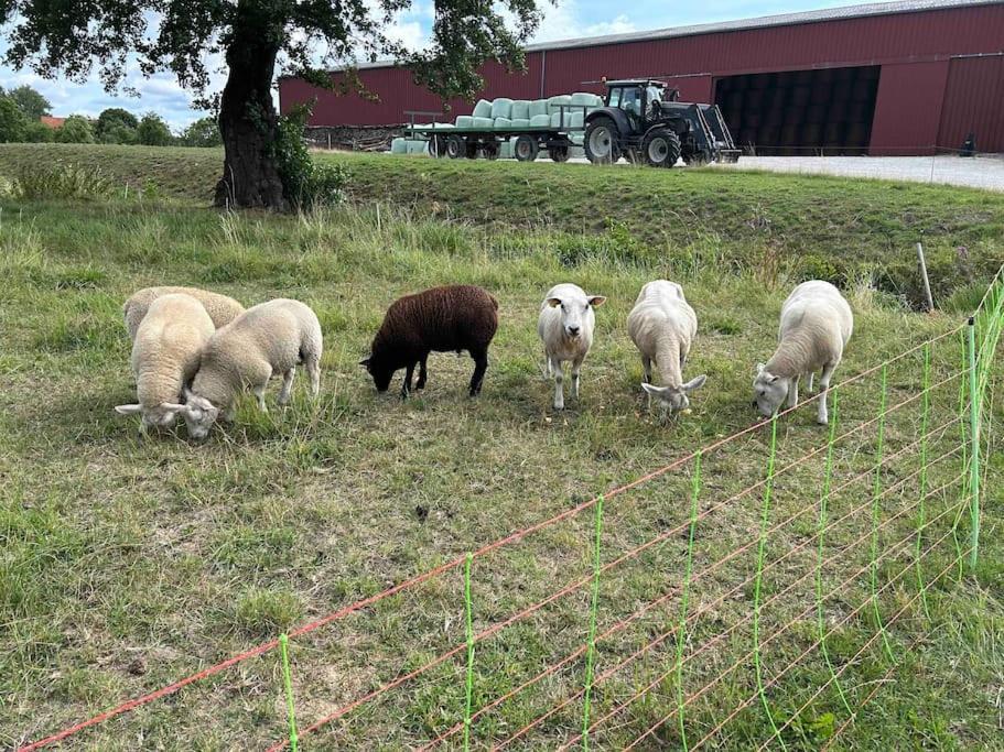 Вилла Maison Au Sein D'Une Ferme Rahling Экстерьер фото